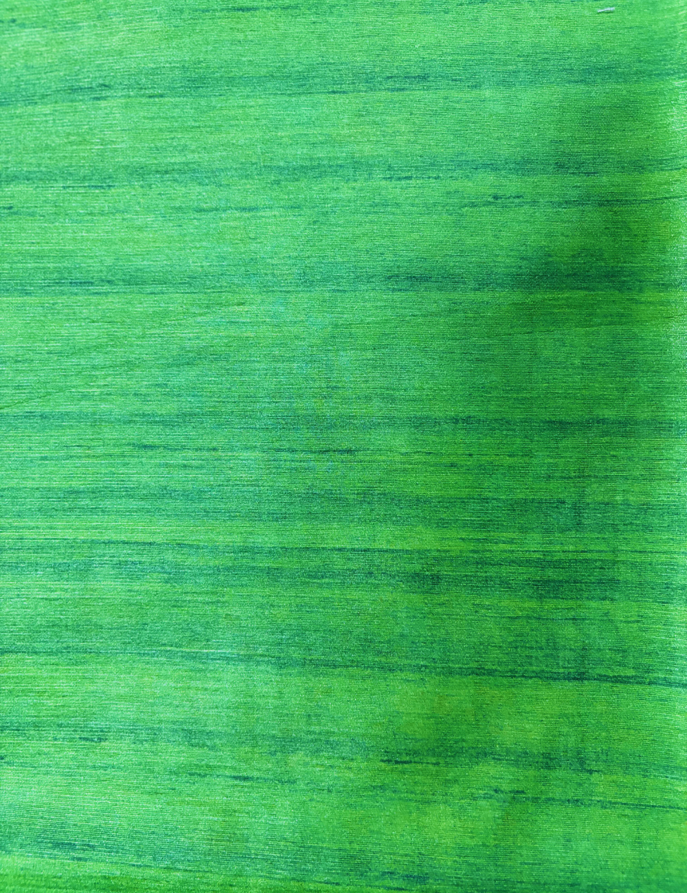 Green Print   Madhubani  Saree